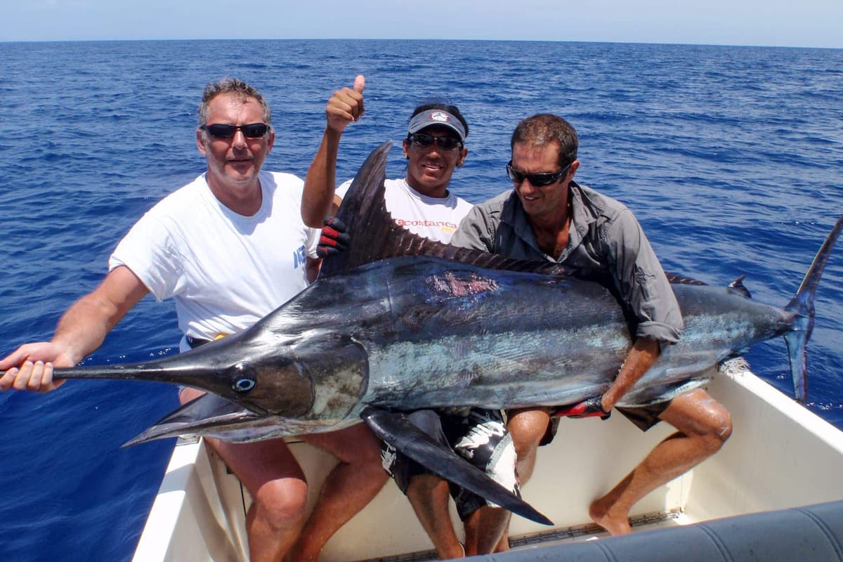 Belle prise lors d'une sortie pêche à Arcachon