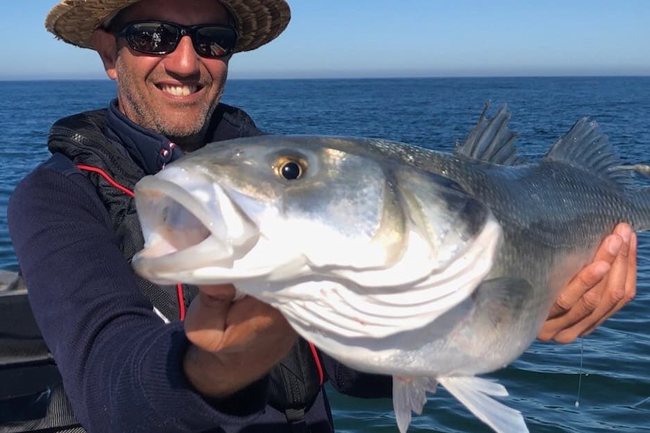 Guide de pêche sur le Bassin d'Arcachon