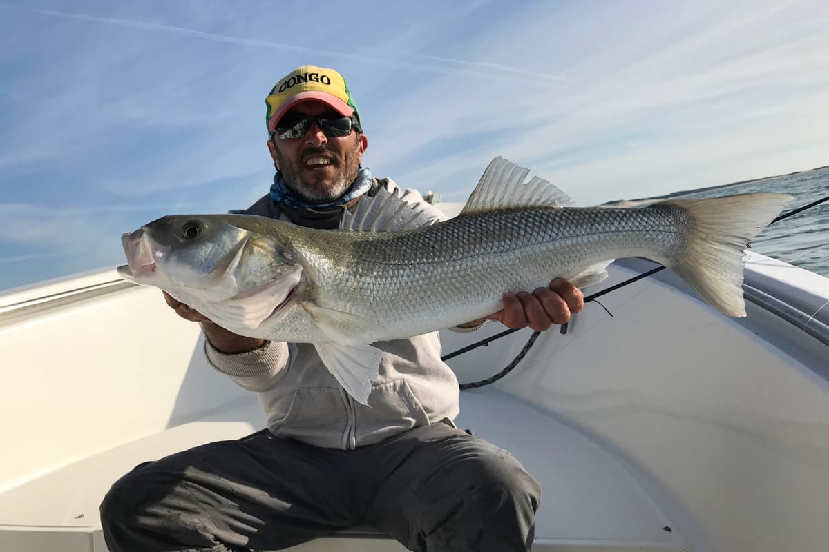 Pêche au bar au Cap Ferret