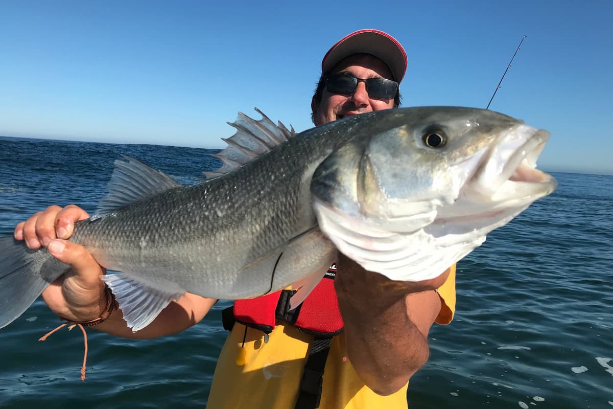 Pêche en mer au large du Cap Ferret